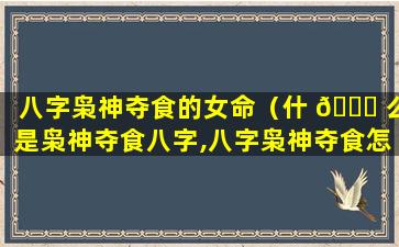 八字枭神夺食的女命（什 🐈 么是枭神夺食八字,八字枭神夺食怎么化解）